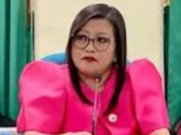 Cong. Luistro, iginiit na DPWH ang nagpanukala ng infrastructure projects sa kanyang distrito