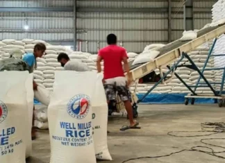 NFA Cagayan, bumibili ng tuyong palay sa P30 kada kilo bilang paghahanda sa Super El Niño