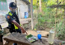 Lalaki natay ta imminom ti insecticide idiay ili ti Lidlidda