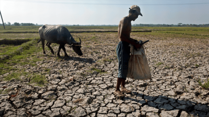 12 EL NINO AGRICULTURAL DAMAGE