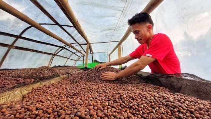 COFFEE OUTPUT