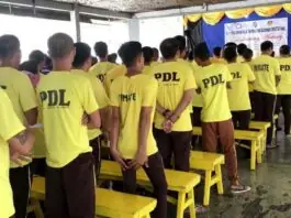PBBM ken DSWD, nangted tio cash aid ken livelihood support kadagiti Persons Restored of Liberty