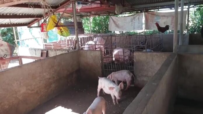 2 BANTAY SWINDLING INCIDENT - frame at 0m45s