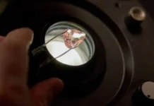 Rare pink diamond a natakaw iti nakurang 100 a tawen, mai-display iti publiko idiay France
