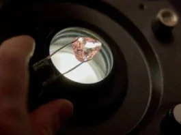 Rare pink diamond a natakaw iti nakurang 100 a tawen, mai-display iti publiko idiay France