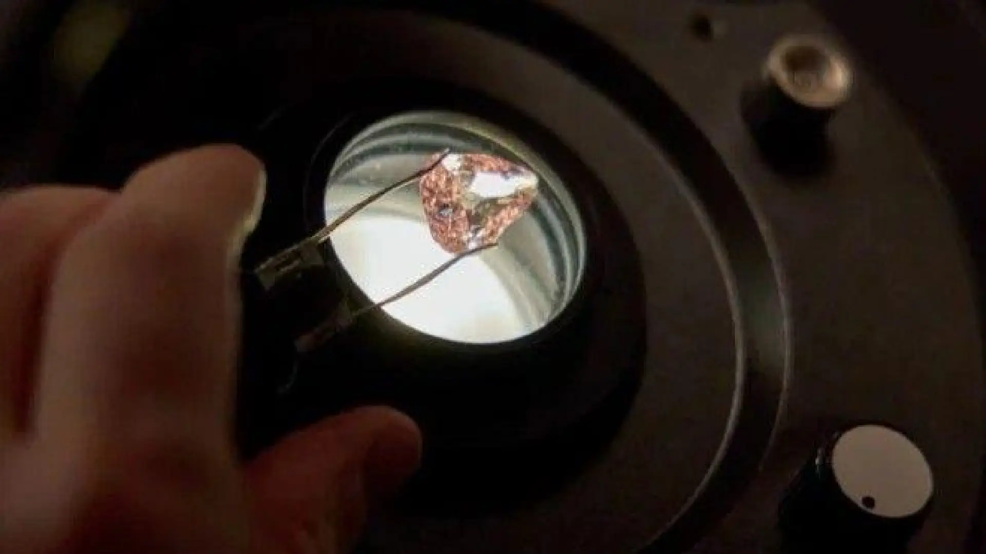 Rare pink diamond a natakaw iti nakurang 100 a tawen, mai-display iti publiko idiay France