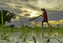 VP Sara, nagpanawagan iti nalawlawa a panagsagana iti Super El Niño