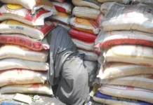 Pangilinan, kalikagumanna ti pannakaimbestigar iti agarup P700-M a gatad ti mapapati a smuggled rice