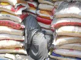 Pangilinan, kalikagumanna ti pannakaimbestigar iti agarup P700-M a gatad ti mapapati a smuggled rice