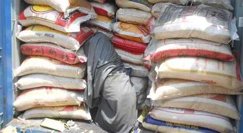 Pangilinan, kalikagumanna ti pannakaimbestigar iti agarup P700-M a gatad ti mapapati a smuggled rice