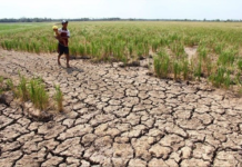 P61.99-B nga Action Plan Kontra El Niño, isagsagana iti Department of Agriculture