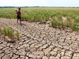 Ilocos Sur Kontra super El Niño Ordinance, Inlawlawag ni Board Member Atty. Pablito Sanidad