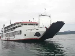 Nasurok 60 a pasahero, tripulante, natalged iti panagbaliktad ti passenger vessel idiay Quezon
