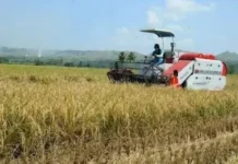 Innem a dam iti pagilian, nakitaan ti panagngato ti lebel ti danum – PAGASA