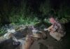 Animal protection bill, naidagadag kalpasan a nasarakan ti 29 a naibelleng a taraken sadiay Bulacan