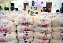 P20 per kilo rice program, nakatulong iti agarup maysa a milion a Pilipino idi Setiembre